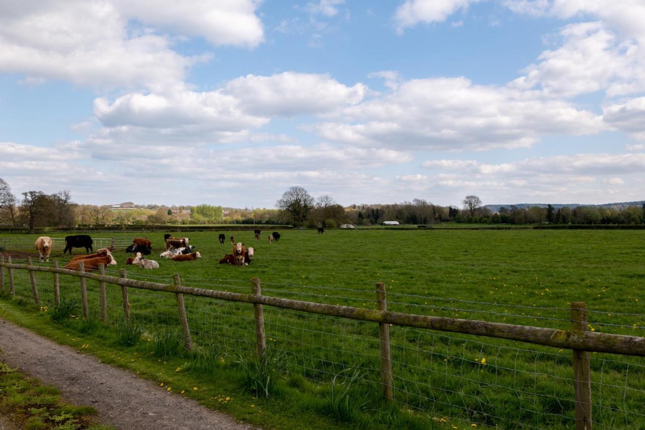 Tixall Manor Farm Стаффорд Екстер'єр фото